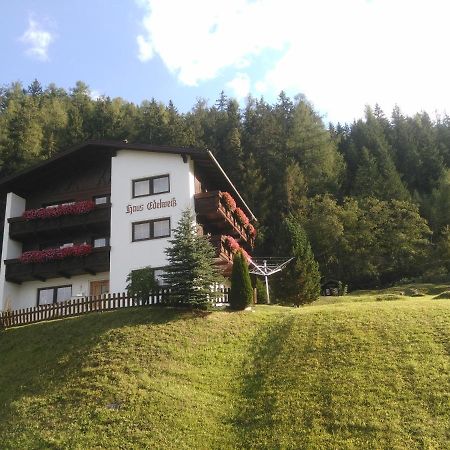 耶岑斯Haus Edelweiss住宿加早餐旅馆 外观 照片